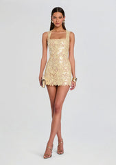 Elainy Sequin Lace Dress