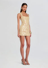 Elainy Sequin Lace Dress